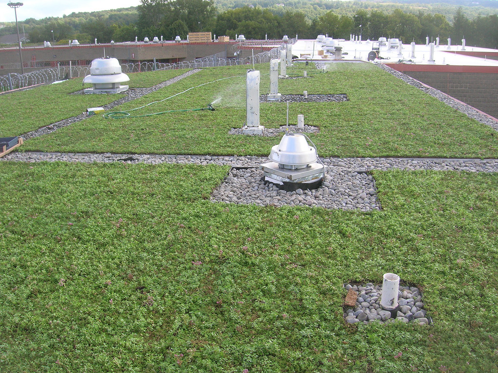 Green Roofs