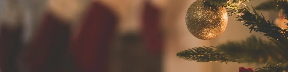 Season’s Greetings: Reflecting on 2025 and Preparing for a Strong New Year